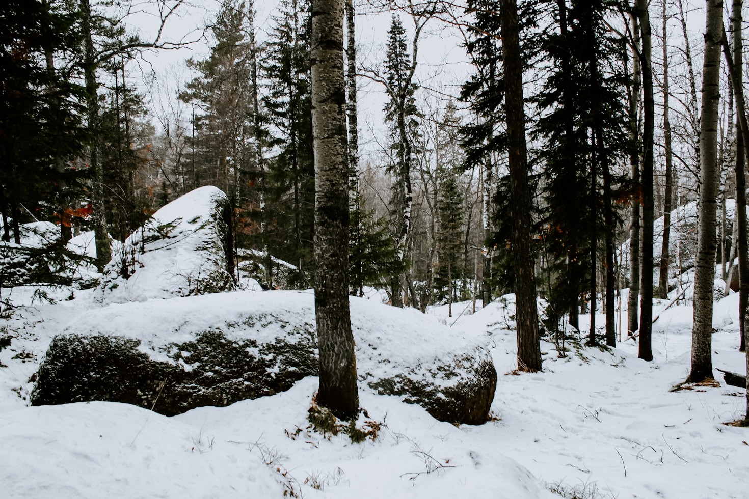 The Allure of the Siberian Steppes