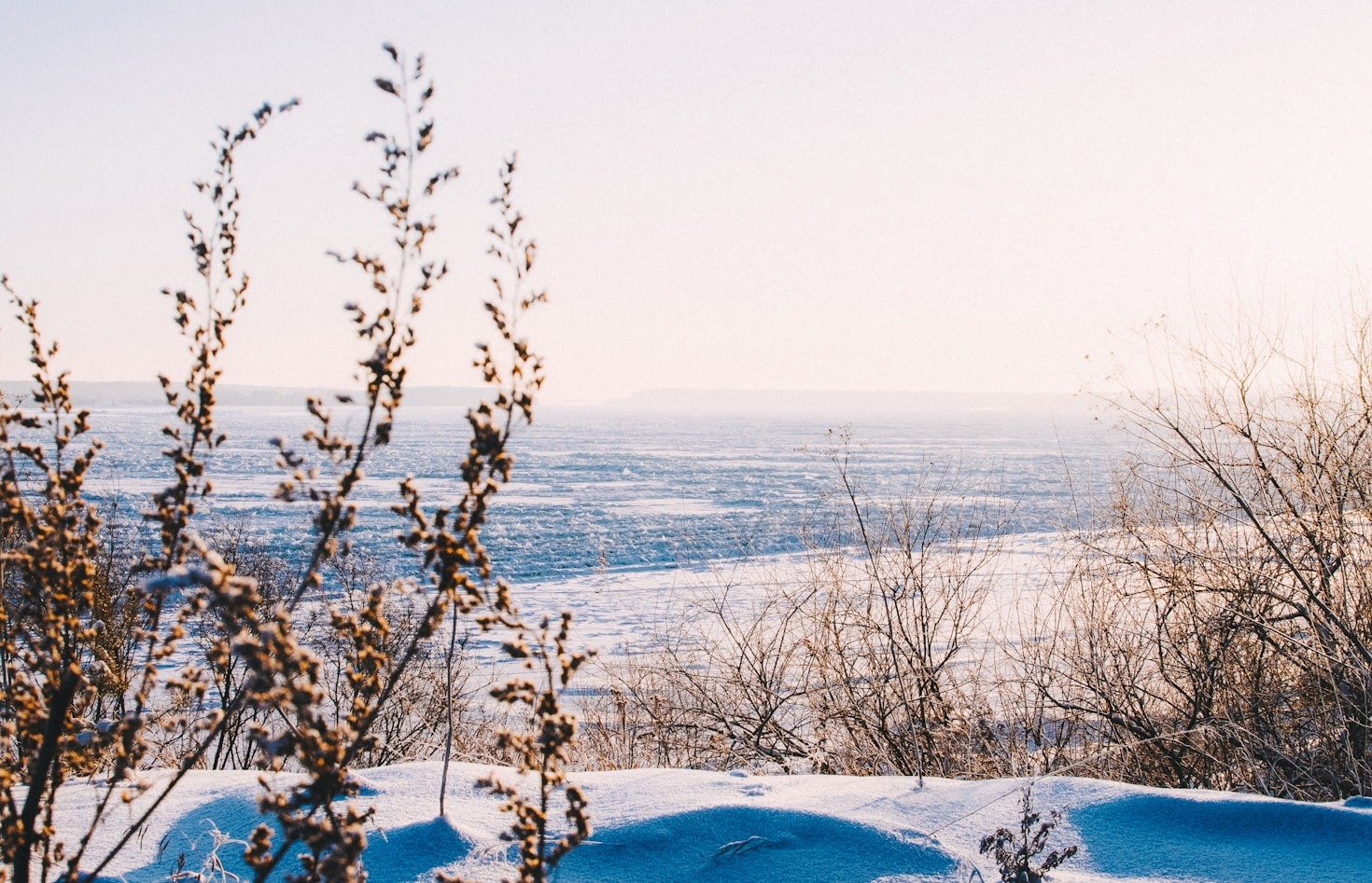 Finding Solace in Vast Open Spaces