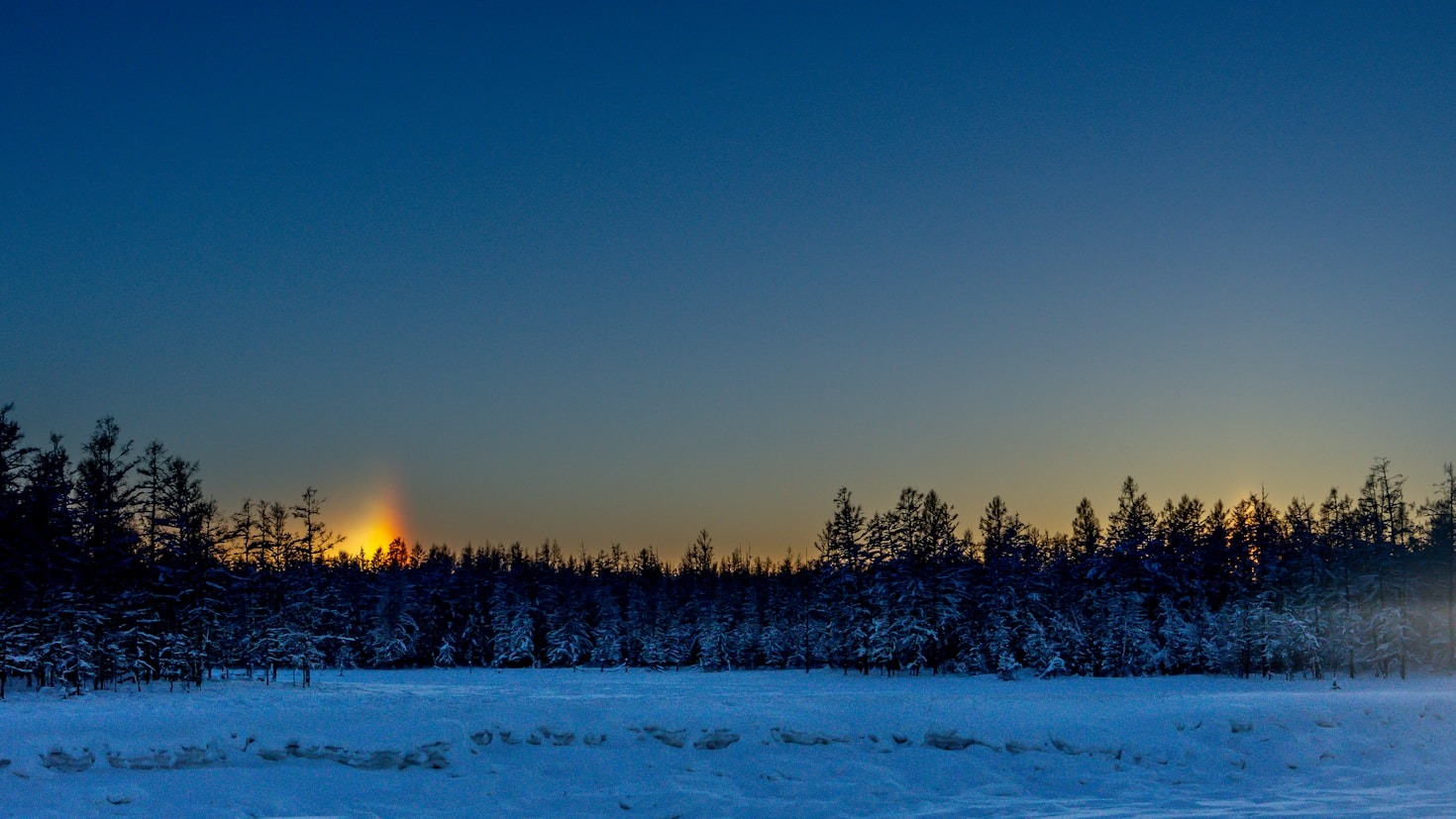 What the Siberian Plains Teach Us