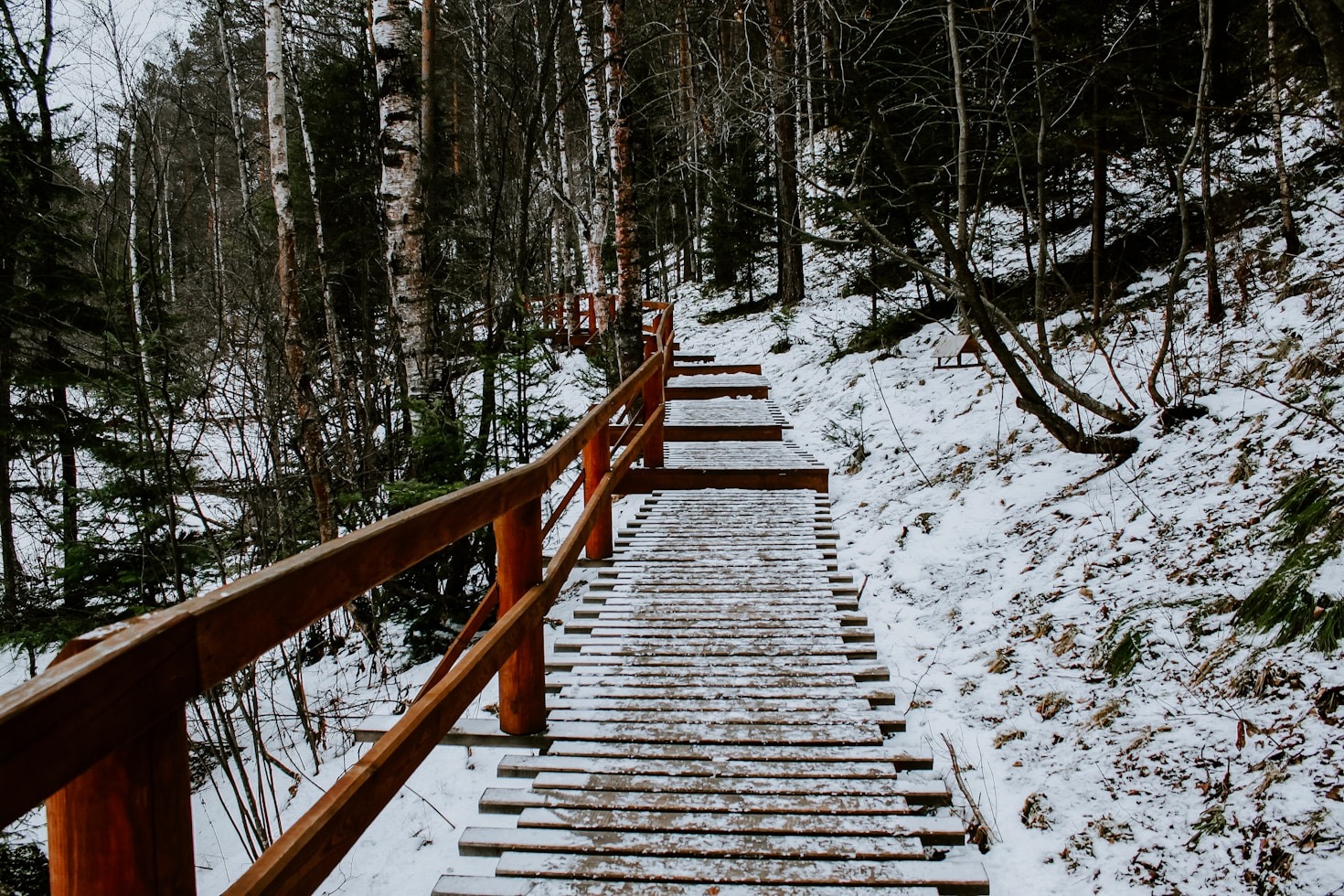 Embracing Nature’s Challenges in Siberia
