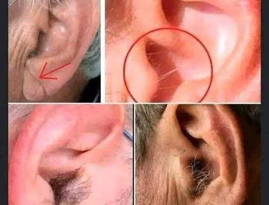 DID YOU KNOW that if hair grows on your ears, it’s because your body is…. Read more